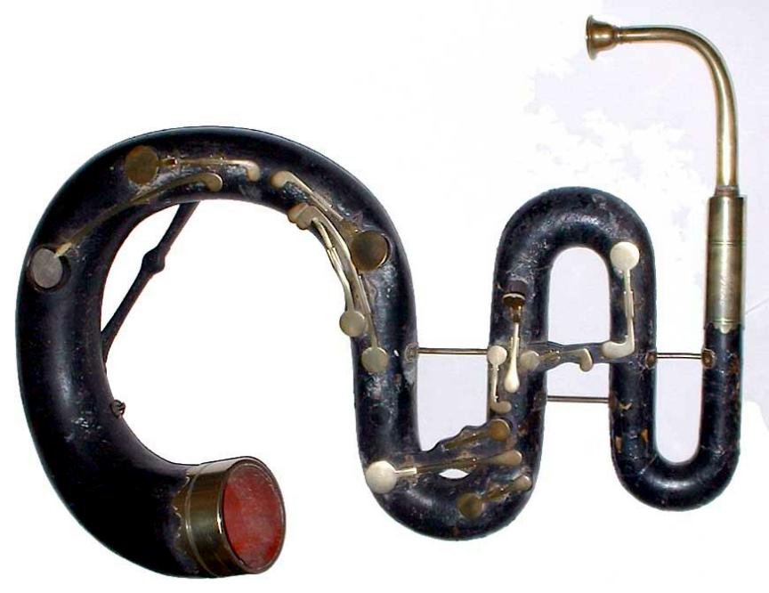 Serpent and ophecliede